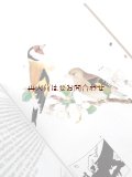 　楽しい古本★　　アートな小鳥の本　　のほほんイラスト　図鑑　　 鳴き鳥　野鳥の本　イラスト　多数