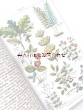 アンティーク 洋書★希少★　３０年代　　ヒーリング植物　薬用植物　家庭のガイド　ボタニカルイラスト付