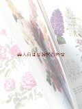 楽しい古本　　洋書★　カラフルな植物図鑑　ボタニカル　植物画多数　アート　　９５７点イラスト