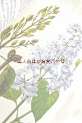 楽しい古本★　 ボタニカル　アート　植物　　木と低木　木の図鑑　　植物画　イラスト多数