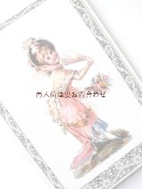 ボタニカル古本☆小さな　バラの図鑑　　オールドローズのポケットガイド　　