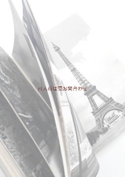 画像1: アンティーク　洋古書　　レトロな白黒写真多数　パリの本　かつての風景　建造物　　文化　街並み　ドイツ語