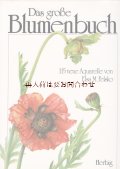 アートなボタニカル洋書★大型　ボタニカル　アート　植物画多数　希少Elsa M. Felsko　美　水彩画　115点　コレクション