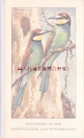 楽しい古本 洋書★　ナチュラル　渡り鳥と冬の鳥の本　小鳥　野鳥　イラスト 多数　　図鑑