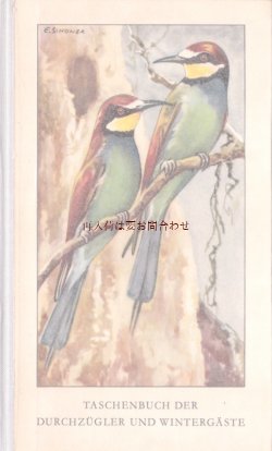 画像1: 楽しい古本 洋書★　ナチュラル　渡り鳥と冬の鳥の本　小鳥　野鳥　イラスト 多数　　図鑑
