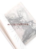 おすすめ　アート系洋書☆　女体　生物　幻想的なイラスト　LouizenLabé  1555年のソネット　ドイツ語訳版