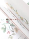 楽しい古本★ヒーリング植物ハンドブック　薬草　野草　ハーブ　図鑑　　カラー  美イラスト　多数　　ボタニカル　アート　