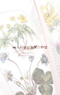 楽しい古本 洋書★　春の花の本　　ナチュラル 　ヨーロッパ　　ドイツ　　　植物　図鑑　ボタニカル　
