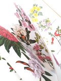 ボタニカル古本★　 庭のカラフルな低木の本　ガーデニングガイド　　ボタニカル　アート　植物　　木と低木　図鑑　　植物画　イラスト多数