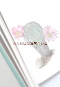 ボタニカル　洋古書★　　大きなサボテンの本 カクタスとその他の多肉植物　　植物画　ボタニカル　アート　植物図鑑　ガーデン本　サボテン　　