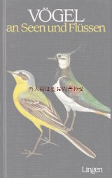 楽しい古本☆　湖畔や水辺の野鳥と卵の図鑑　　渡り鳥　野鳥　小鳥　自然　　オス　メス　イラスト　鳥の図鑑　