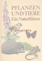 楽しい古本★　　自然　昆虫　小動物　植物　キノコ　　イラスト多数　図鑑　７０年代　♫　