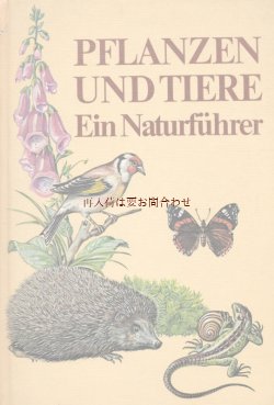 画像1: 楽しい古本★　　自然　昆虫　小動物　植物　キノコ　　イラスト多数　図鑑　７０年代　♫　
