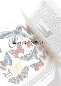楽しい古本　☆ドイツ語　　賢いアルファベット辞典　（８）　イラストで学べる言葉の本　　P Q R S からはじまる言葉