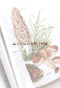 楽しい古本　洋古書★ 　キノコ　　味のあるカラーイラスト　　図鑑　シリーズ　　トリュフ他　