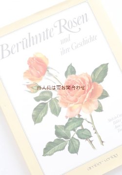 画像1: ボタニカル　大型古書　　　有名なバラとその歴史　　バラの本　　植物画　迫力バラ画コレクション　 　図鑑