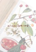 ボタニカル古本★　カラフル　　中央ヨーロッパの木の本　　　木　低木　木の実　　　図鑑　　イラスト多数　