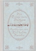 アンティーク洋書★ヴィルヘルム・ラーベ　歴史物語　鏡のようなモチーフの可愛らしい古書　シャビー　水色　