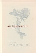 ボタニカル古本★　イラスト　多数　　植物図鑑　　水草　　水辺の植物　　植物画　　５０年代　