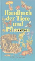 楽しい古本☆　大きめ　動植物図鑑　自然　イラスト3700点　小動物　動物　植物　シダ　こけ　きのこ　　昆虫他　ヨーロッパ生き物図鑑　　　