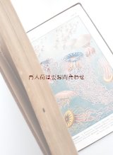 アンティーク洋書　☆ 動物学　イラストページ多数　ガイド　　1901年　カラー図版付