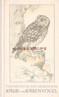 楽しい古本 洋書★　ナチュラル　 　野鳥の本　　猛禽類　フクロウ他　　イラスト多数 60年代