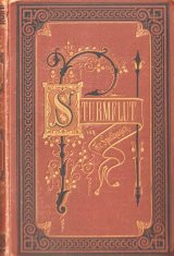 アンティーク洋書★美デザイン　Friedrich Spielhagen 小説　Sturmflut　表紙背表紙エンボス　　　　1888年