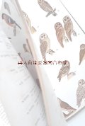 楽しい古本洋書☆カラー＆白黒画像多数　中央ヨーロッパの野鳥図鑑　イラスト　　自然　