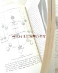 アンティーク洋書☆美表紙背表紙の天文書　天文　星　宇宙の本　1925年　イラスト　星図付き　
