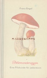 楽しい古本☆　レトロなキノコの本　カラー図版　　図鑑　みんなの実用キノコ図鑑　50年代　