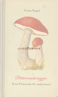 画像1: 楽しい古本☆　レトロなキノコの本　カラー図版　　図鑑　みんなの実用キノコ図鑑　50年代　