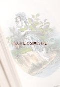アートな古本★ 　Les fleurs animées.コレクション　花の精霊　妖精　リプリント　J.J. Grandville　イラスト集　　