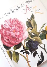 イラストの美しい花言葉の本　植物画×ルネサンス•バロック絵画他　　イラスト多数