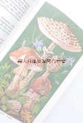 楽しい古本☆　レトロ可愛い森のレシピ　　DDR キノコ＆ベリーの本　　葉っぱの模様の古書 70年代
