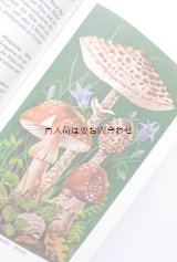 楽しい古本☆　レトロ可愛い森のレシピ　　DDR キノコ＆ベリーの本　　葉っぱの模様の古書 70年代