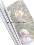 ボタニカル古本★ロマンチックな花の絵多数　アンデルセン時代の植物画像　絵画　引用集
