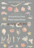 楽しい古本★　希少な南極マクロベントス図鑑　フィールドガイド　　小さな海の生物写真集　　　自然　ガイド