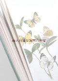 再入荷★　蝶々の図鑑　解説　生態　　美しいカラーイラスト多数　挿絵　　70年代チョウの本　