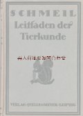 楽しい古本★　1924年　動物学　　動物界　生物　昆虫　生態　学習　教材 　イラスト　挿絵　多数