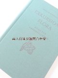 ボタニカル古本★　　シンプルな植物イラスト　ドイツの植物　　ナチュラル　維管束植物 　図鑑　