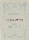 ボタニカル　洋書★　１９０８年　　植物学　ガイド　学習教材 　美しいイラストページ多数  