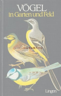 画像1: 確保品　再入荷☆　ドイツやオーストリアの小鳥　図鑑　野鳥　卵　巣　カラー　イラスト　　多数
