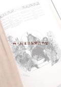 リクエスト　確保品　アンティーク☆　　ゲーテ作品集　豪華表紙　イラスト　大型古書　 ライネケ狐他　