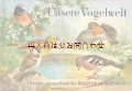 アートな古本★　自然　野鳥　小鳥　可愛い鳥と植物の本　イラスト多数　50年代　図鑑