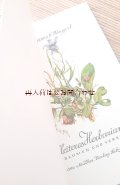 ボタニカル★　小さな花と詩の本　ハーバリウム　ナチュラルイラストの素敵な古書　　水彩　　　