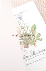 ボタニカル★　小さな花と詩の本　ハーバリウム　ナチュラルイラストの素敵な古書　　水彩　　　
