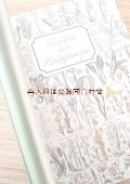 アートな古本　薬学　医療関連★　大きなヒーリング植物図鑑　ハーブ　　薬草　　自然療法　　ガイド 　植物イラスト有