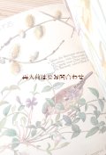 ボタニカル　日記　アートな古本☆　イラストの素敵な絵日記　　自然観察　　イーディス・ホールデン　1906年の名作　リプリント　
