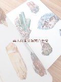 確保品　☆大きなイラスト多数　　　アルプス　　自然の本　　鉱物　　植物　　動物　　コケ　　キノコ 　（書留）　
