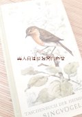 確保品★　ナチュラル　シャビー　小鳥　鳴鳥　の本　イラスト多数　50年代